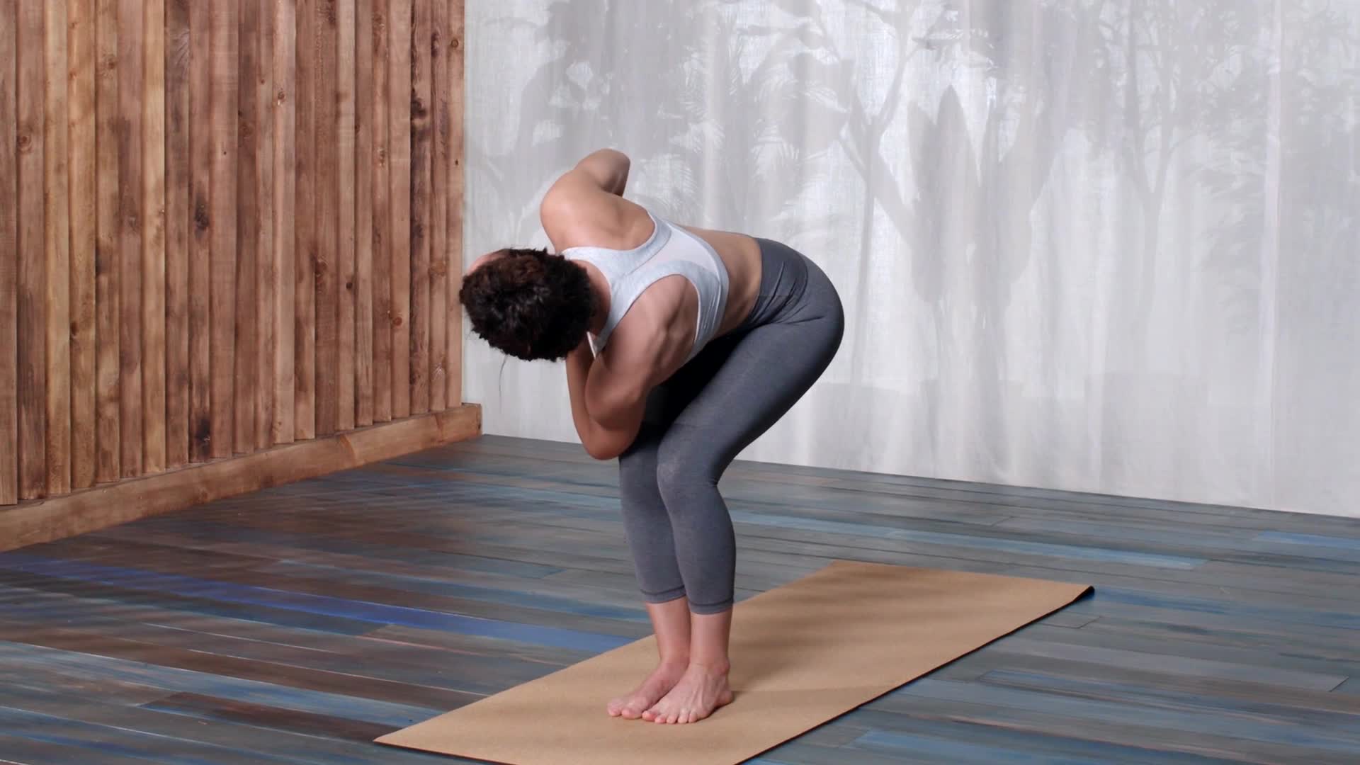 Down Dog Great Yoga Anywhere